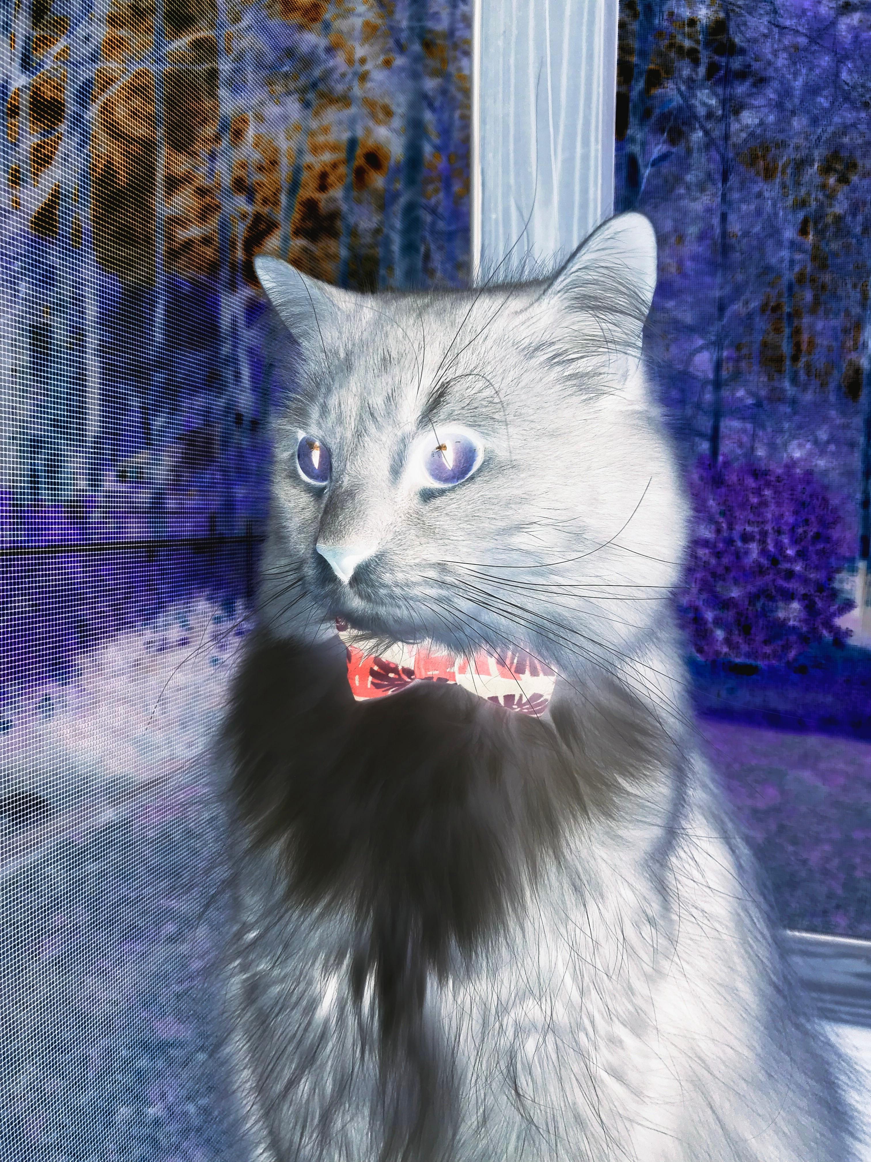 加时鏖战，公牛崛起，克莱式领袖扛起全队击败火箭