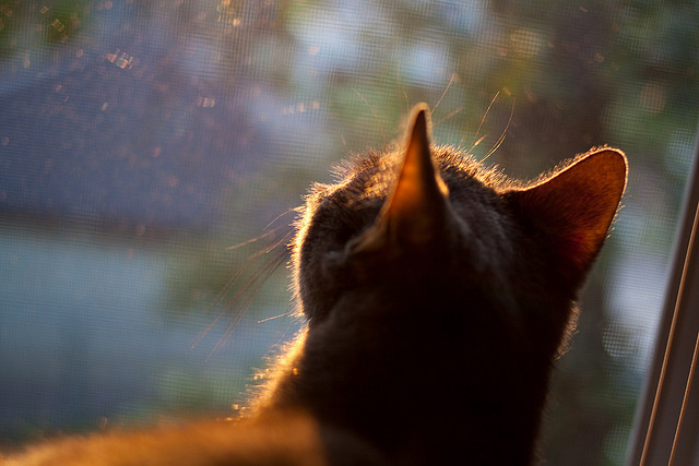 从海布里到五环,当穆勒的足球智慧点亮奥运赛场
