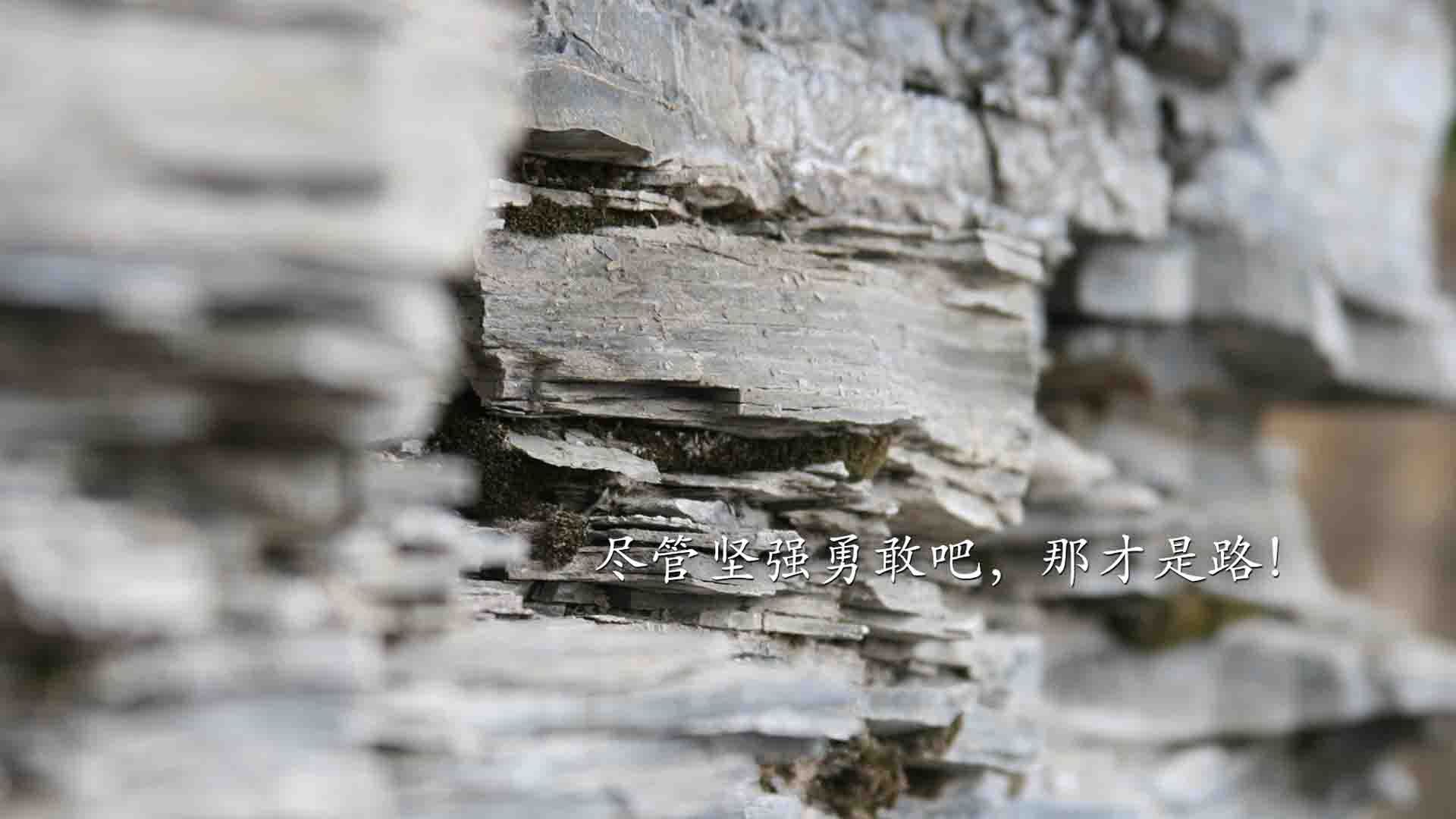 德甲争冠战之夜,钢索上的舞蹈与范弗利特时刻