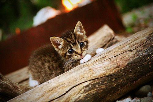 当绿茵变成角斗场,拉什福德在篮球式抢七之夜的统治级表演