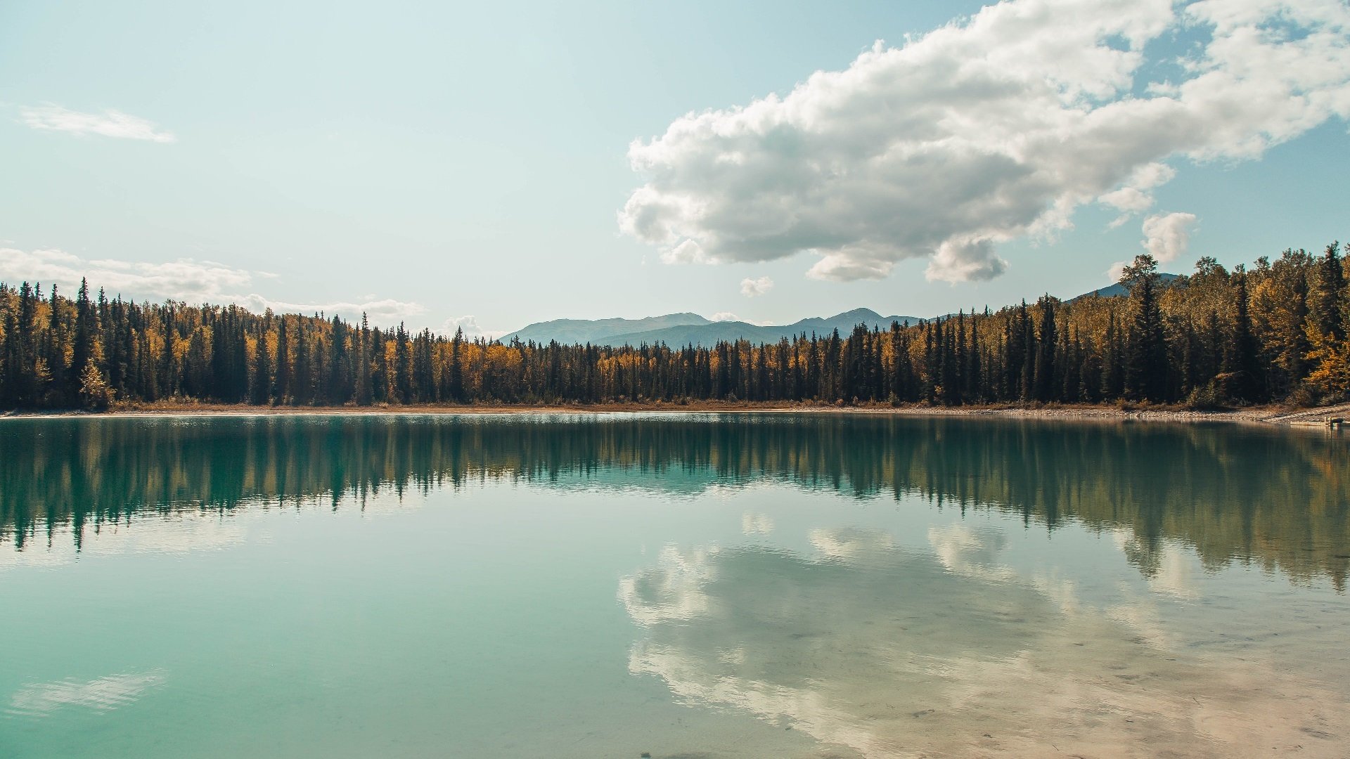 压力熔炉铸就英雄,莫兰特爆发助火箭征服山西