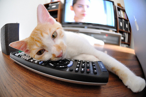 美墨加之夜,利拉德以唯一方式写就教科书