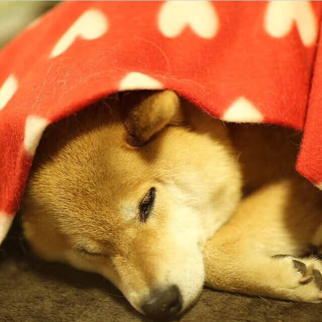 他今晚姓詹却非天神，老鹰加时险胜，火箭折翼于一人之名