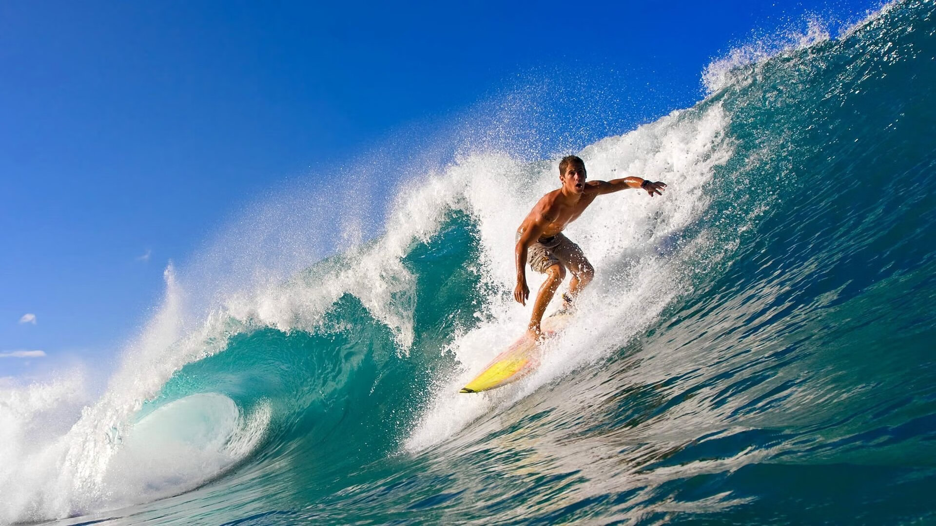 数据轰鸣，当范戴克在F1年度争冠之夜的防守跑道上完成终极一圈