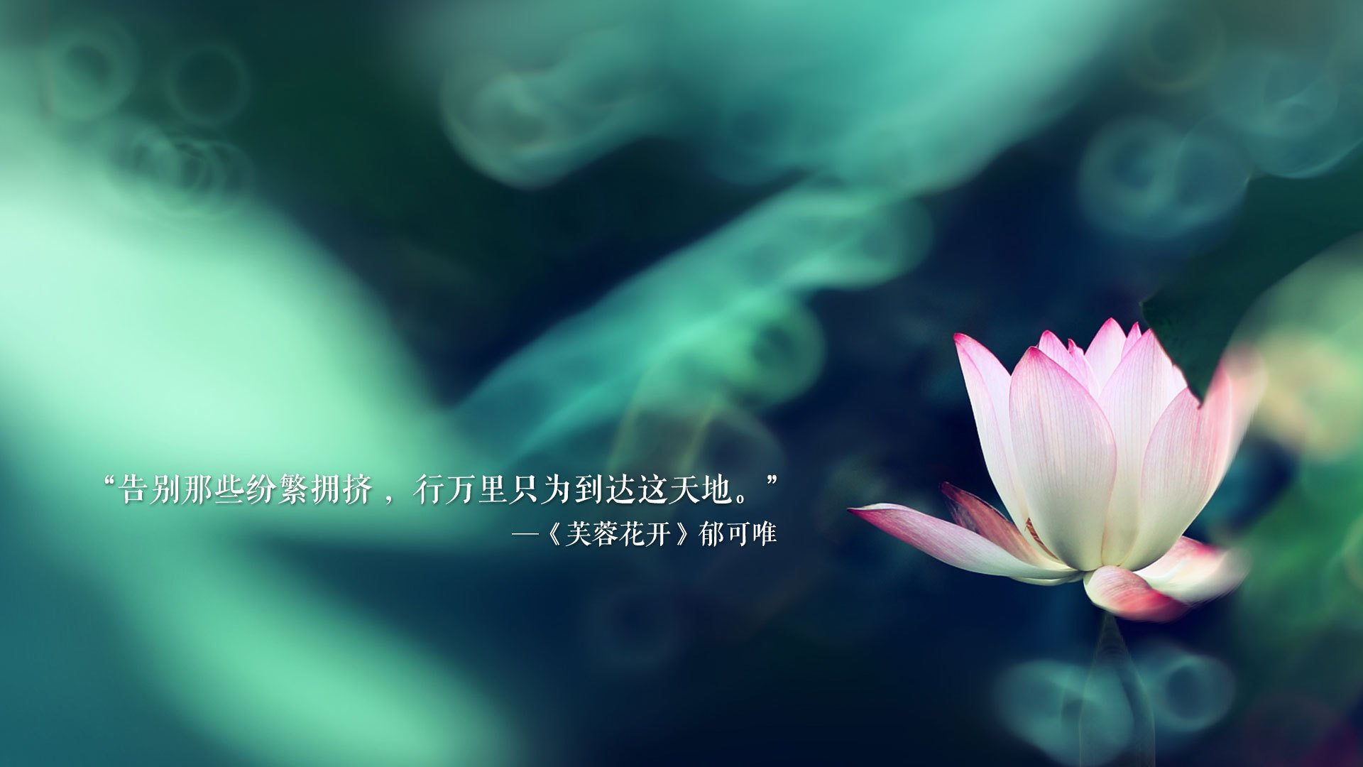 归化之鹰，莱万多夫斯基在2026世界杯E组的孤胆史诗